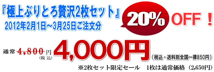 �ɏ�Ԃ�Ƃ��ґ�2���Z�b�g�@2011�N2��1���`2��28����������20%OFF�@�ʏ�4,800�~��4,000�~