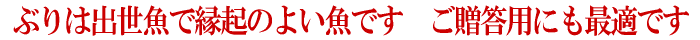 �Ԃ�͏o�����ŉ��N�̂悢���ł��@�������p�A�M�t�g�ɂ��œK�ł�