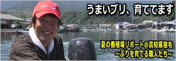 ぶり養殖レポートin高知県宿毛市